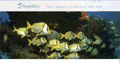 Desktop Screenshot of magnefico.com